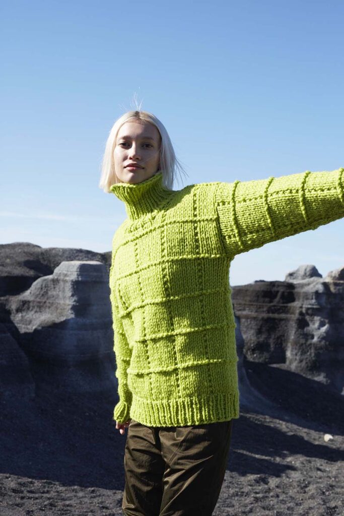 Pull 6 catalogue Wooladdicts 13