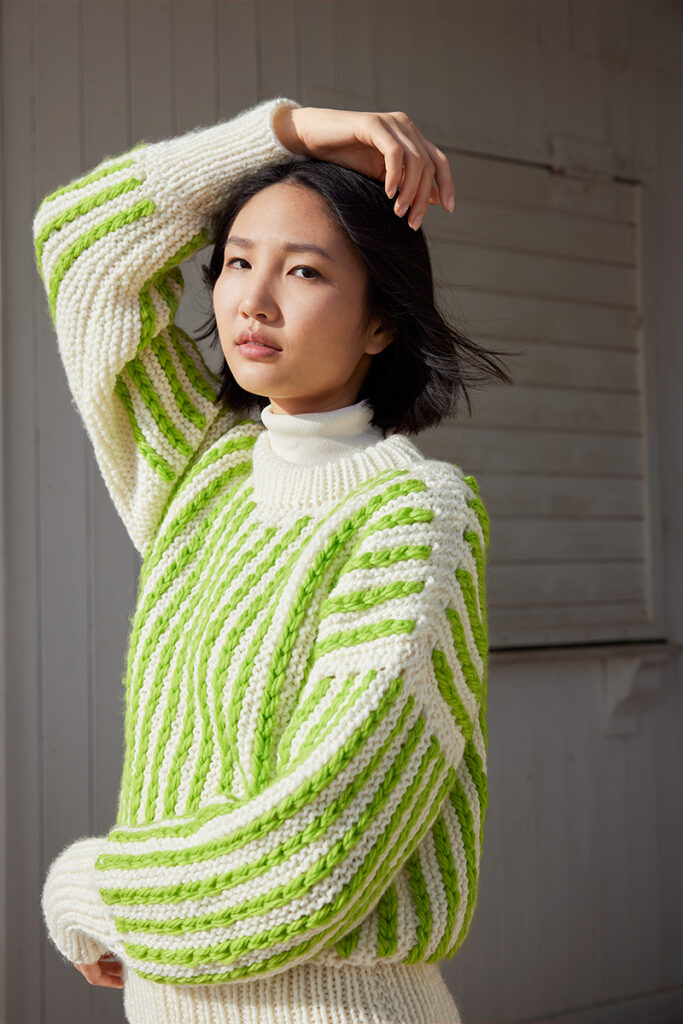 Pull 19 du catalogue Wooladdicts 17