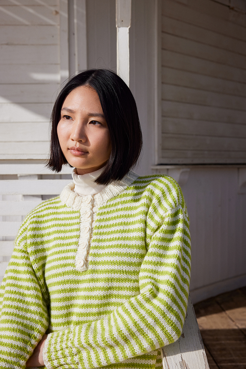 Pull 21 du catalogue Wooladdicts 17
