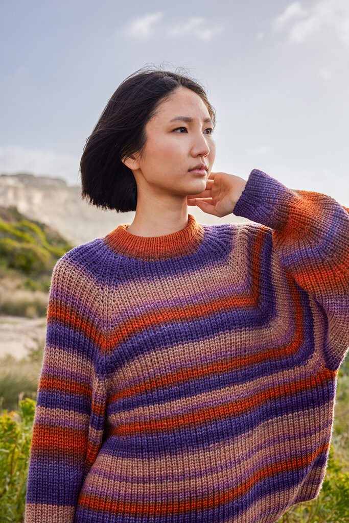 Pull 34 du catalogue Wooladdicts 17