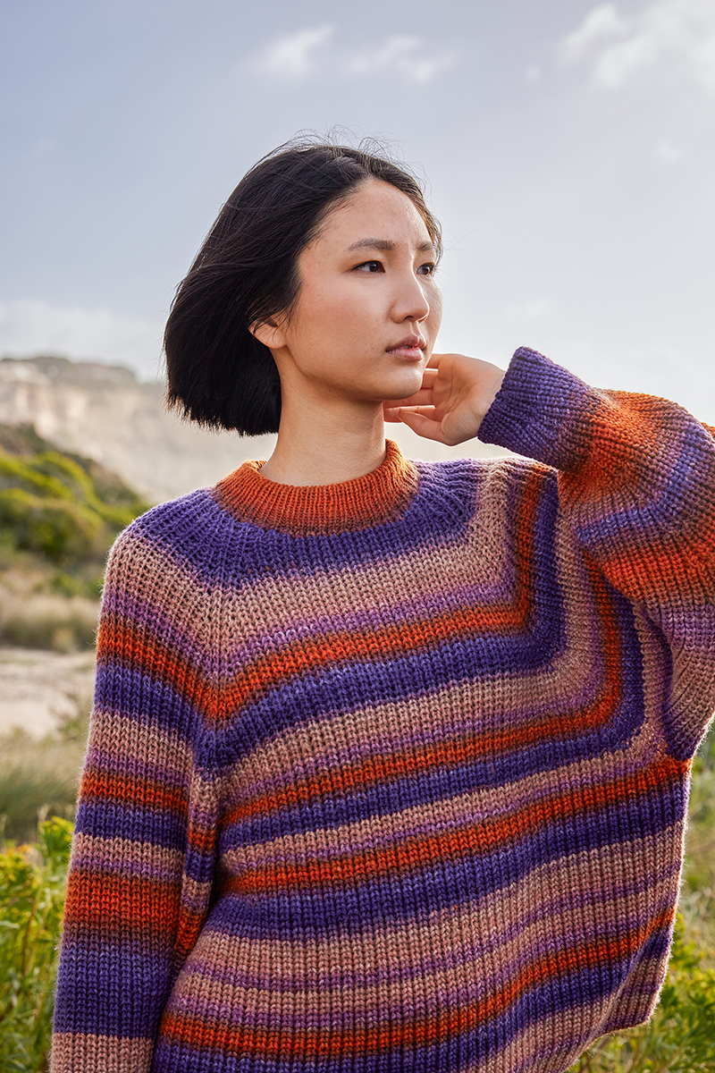 Pull 34 du catalogue Wooladdicts 17