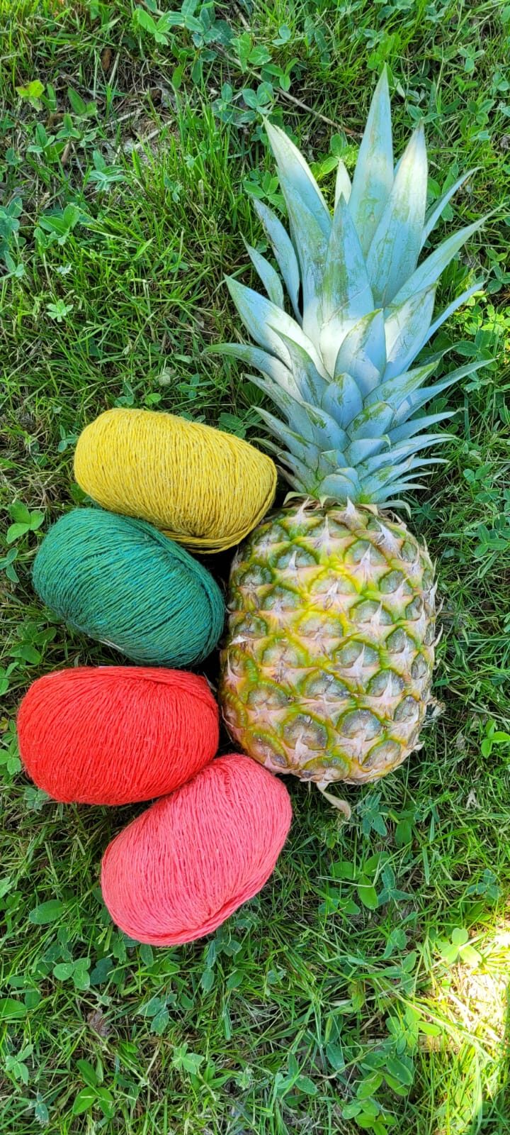 ananas lang yarns