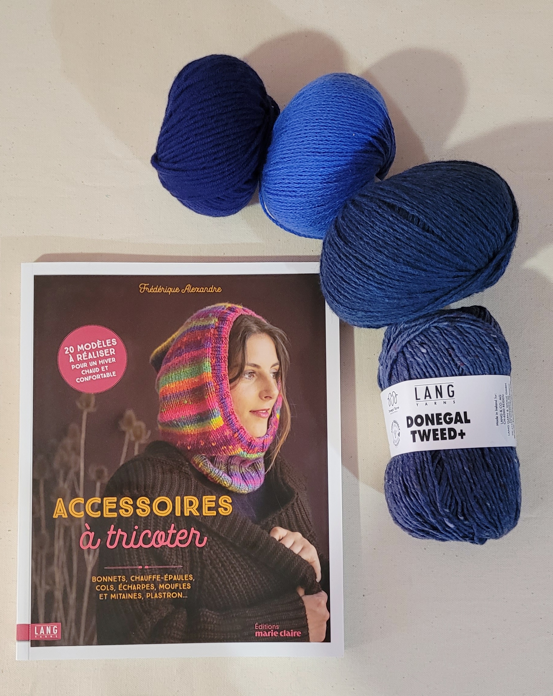 Livre accessoires à tricoter frédérique alexandre laines lang Yarns Editions Marie Claire