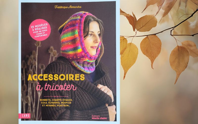 Livre accessoires à tricoter frederique alexandre