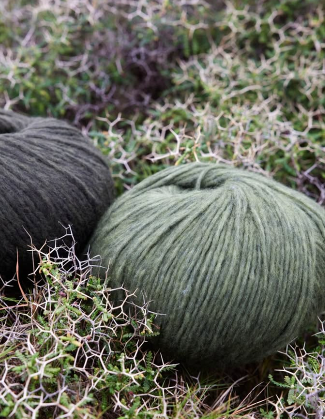 promise wooladdicts