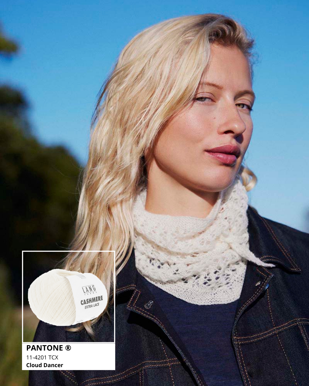 Petit châle 6 catalogue Lang Yarns Punto 94