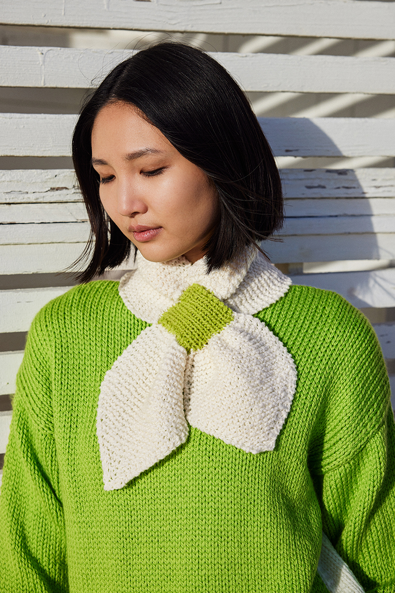 Echarpe 25 catalogue Wooladdicts 17